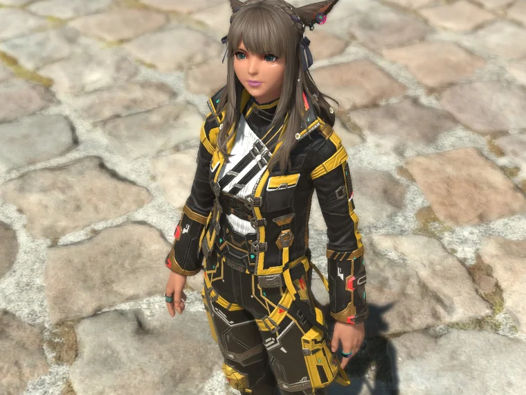 Heavyweight Jacket of Fending - Image