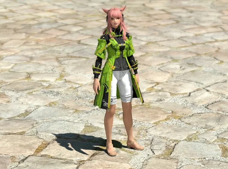 Heavyweight Coat of Aiming - Image