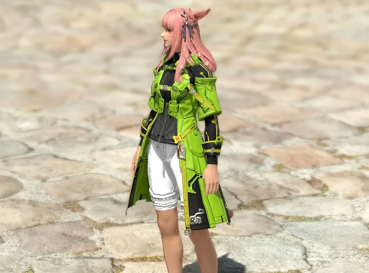 Heavyweight Coat of Aiming - Image