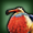 Dodo of Paradise - icon