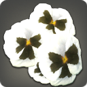 White Viola Corsage