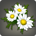 White Daisy Corsage