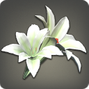 White Brightlily Corsage