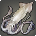 Spear Squid