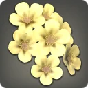 Yellow Cherry Blossom Corsage