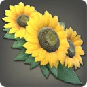 Yellow Sunflower Corsage