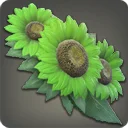 Green Sunflower Corsage