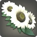 White Sunflower Corsage