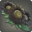 Black Sunflower Corsage