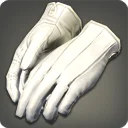 Salon Server's Gloves