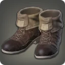 Bergsteiger's Boots