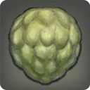 Cherimoya