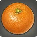 Navel Orange