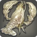 Bone Crayfish