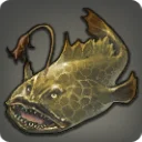 Sagolii Monkfish