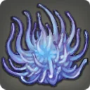 Blue Medusa
