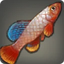Azysfish