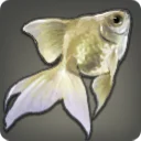 Gilfish