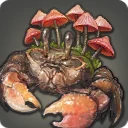 Nirvana Crab