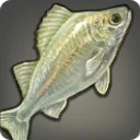 Wraithfish