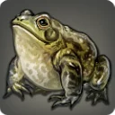 Steppe Bullfrog