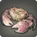 Yu-no-hana Crab