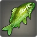 Green Prismfish
