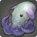Source Octopus