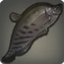 Darksteel Knifefish