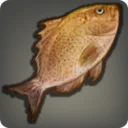 Hedonfish