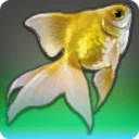 黄金魚