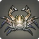 Thaliak Crab