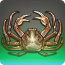 Titanshell Crab