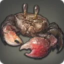 Khaal Crab
