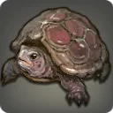 Mossy Tortoise