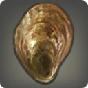 Northern Oyster