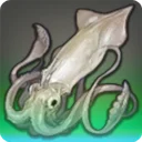 Swordtip Squid