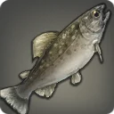 Urqotrout