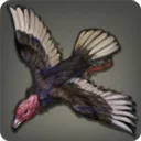 Zorgor Condor