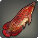 Neo Arowana