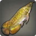 Minted Arowana