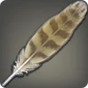 Dodo Feather