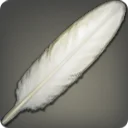 Waterfowl Feather