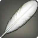 Mute Swan Feather
