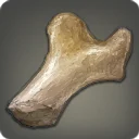 Fossilized Dragon Bone