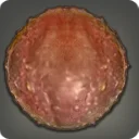Red Megalocrab Shell