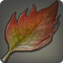 Red Landtrap Leaf