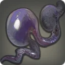 Jellyfish Cnida