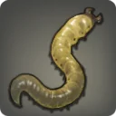 Splendid Earthworm