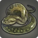 復興用の毒蛇